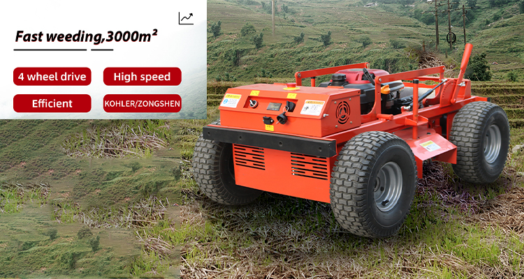 wheeled lawn mower
