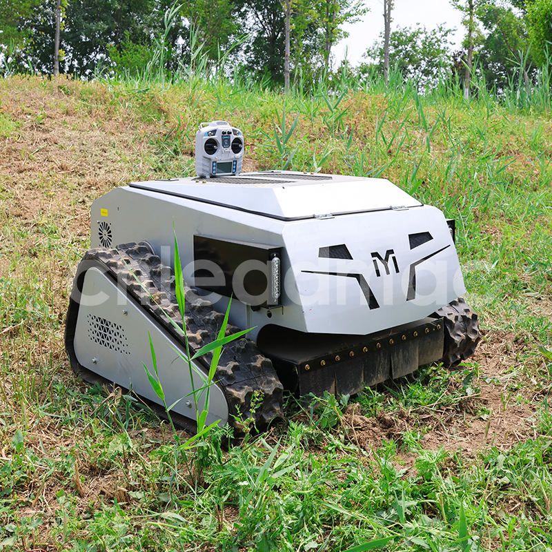 2025 года Тенденции рынка газонокосилок до : литий-ионизация и интеллектуальные разработки ведут к трансформации отрасли