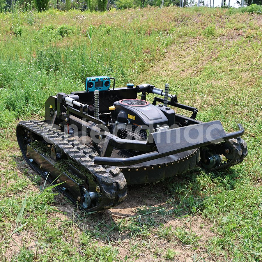 3E9A0539.jpg 3E9A0539.jpg