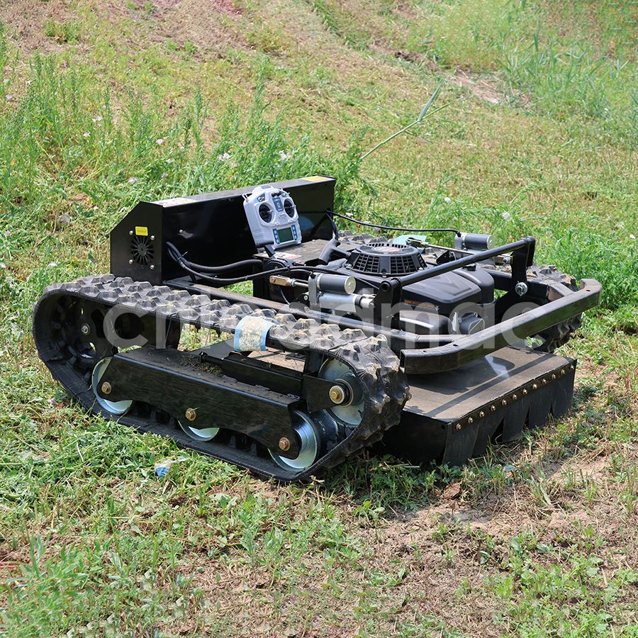 3E9A0611.jpg 3E9A0611.jpg