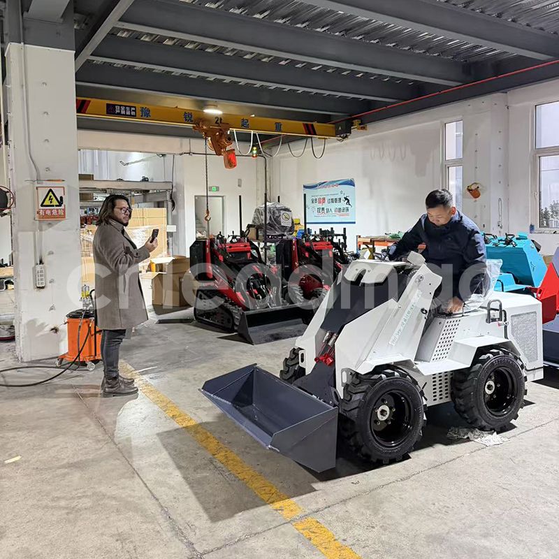 Socio De Ingeniería De España: Cargadora