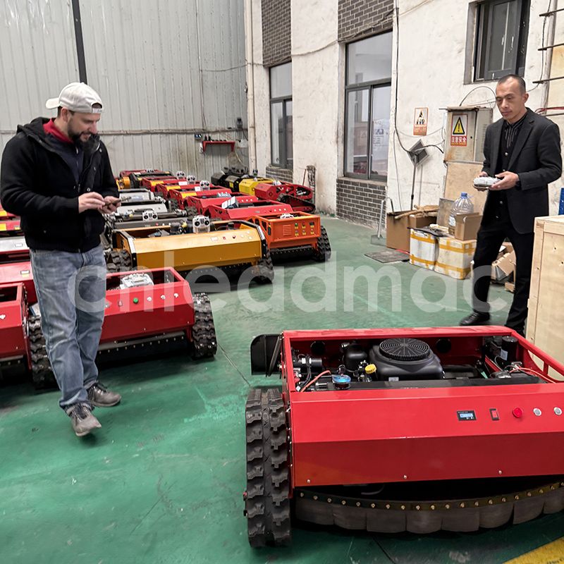 Elección Inteligente: Artesanía China, E