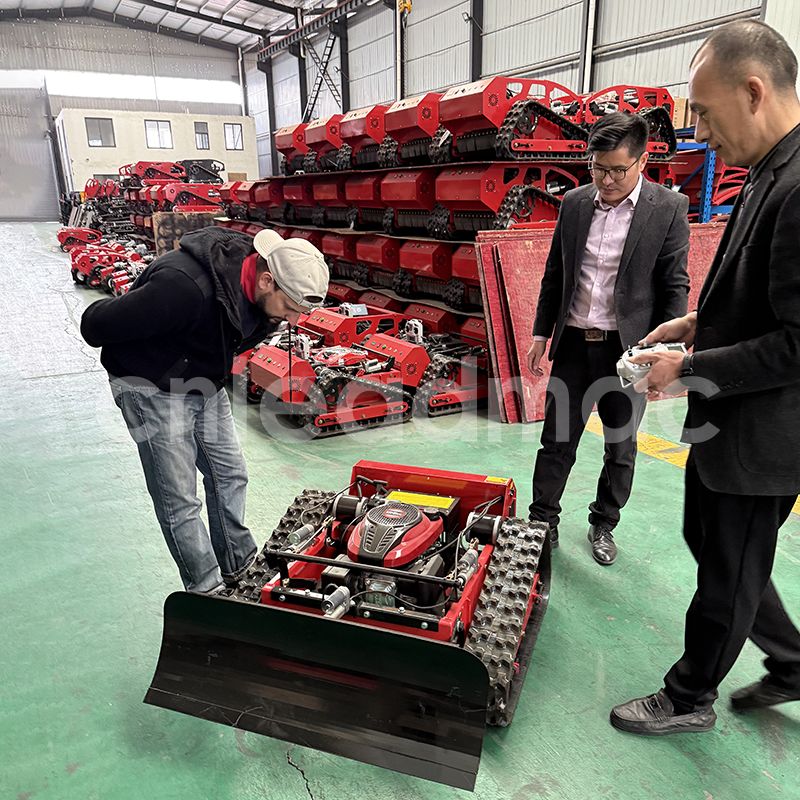 The Sophisticated Ch